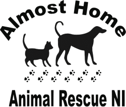 Almost Home NI Logo