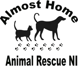 Almost Home NI Logo